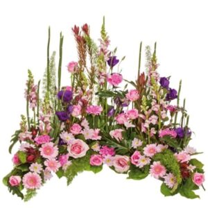 composición paraiso